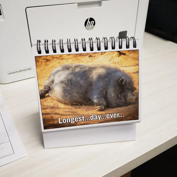 LOL At Your Desk With These Hilarious <a Style="Display:inline;" Href="Https://Www.amazon.com/Coworkers-Hilarious-Accessories-Everyone-Business/Dp/B07j1y5qqy?crid=1ox7i9gp39hlj&dib=eyj2ijoimsj9.2_wgblrv6k6hmy-Mpsrvapx_ecmqycu3vpsnfxn4toirayx_x03-K7qy_4wvjnkkxauyfn3u3lfemcmc4dwoubhhha4_xxzejco5mjffgwu3rip2jlx_nwxjvksdn9v7rn6hz6h-Tjouvzers8vffve81xoyebukipareknqqblx8ofnfi9y8ft4ee9cnjjtogh7kr89dktgnb89rcxr-Mnddbzffsgd3lvs22gux-Q036-Vdiwmsiucnahbr_uxmtbucxm3tb1rvoqawh8gitjksjsd20bb59snvmhectm.iskkajskt75tgaxvhvwtrhl9nxkja62bih9vwohuiti&dib_tag=se&keywords=funny+office&qid=1712045857&sprefix=funny+offic%2caps%2c177&sr=8-13-Spons&sp_csd=d2lkz2v0tmftzt1zcf9tdgy&psc=1&linkcode=ll1&tag=bplynx-20&linkid=6051b3e0865e36b1c83d9e709aee4c61&language=en_us&ref_=as_li_ss_tl" Target="_blank"><span Style="Font:inherit;color:#d74b1f;"> Mood Expression Sheet Cards </Span> - Because Every Office Needs A Chuckle Break!