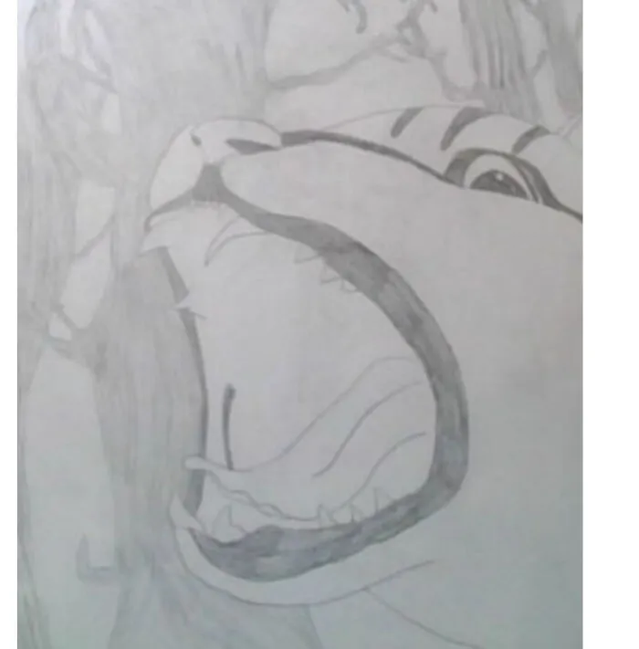 Cat I Drew