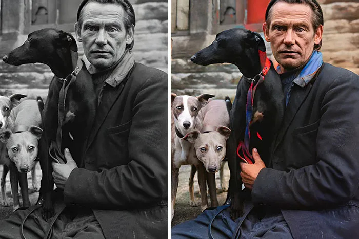 Man’s Best Friend