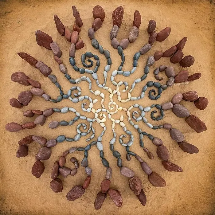 Organicolour, 2023