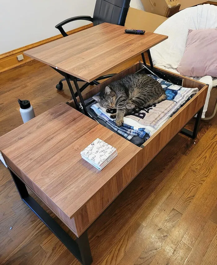 A <span Style="Font:inherit;color:#d74b1f;"> Compact Table</Span> That Hides And Folds Will Help You Maximize Minimalism!