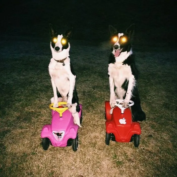 30 Posts That Hold A Lot Of Random Chaos Within, As Seen On This IG Page