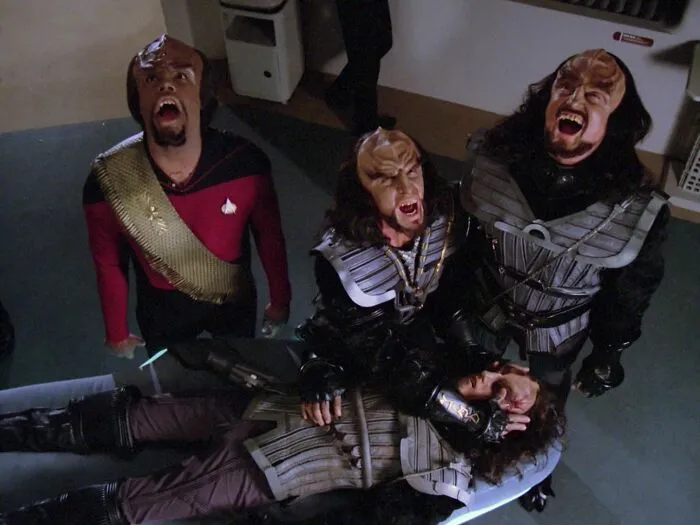 Cats When The Food Bowl Is Empty