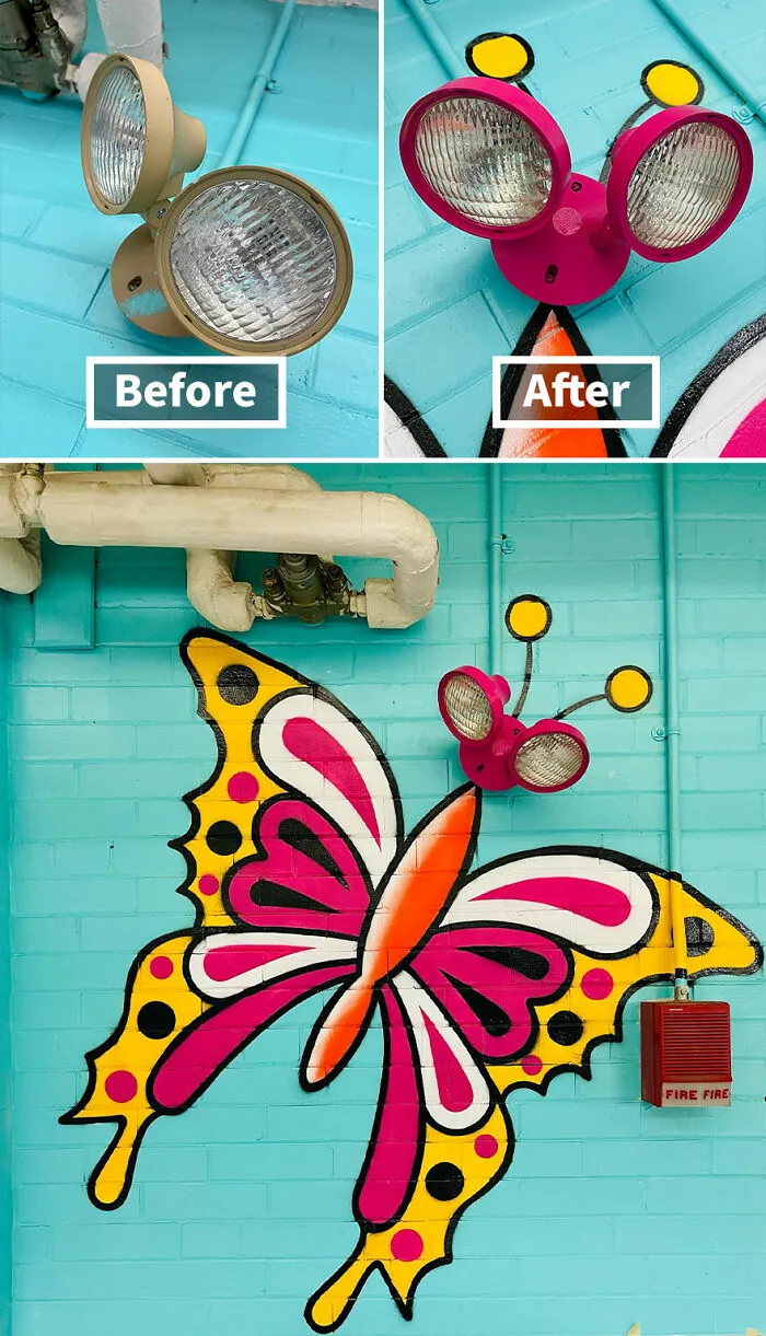 Butterfly, Boston, Massachusetts