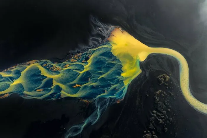 "Earth’s Treasure" By Miki Spitzer, Gold Winner In Nature Art Category