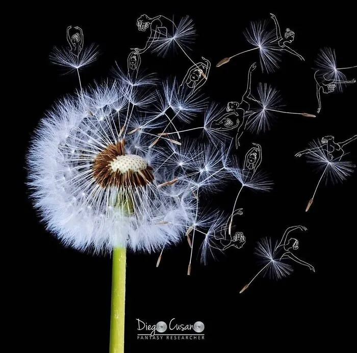 30 Creative Illustrations Transforming Everyday Objects Into Something New, By This Artist (New Pics)