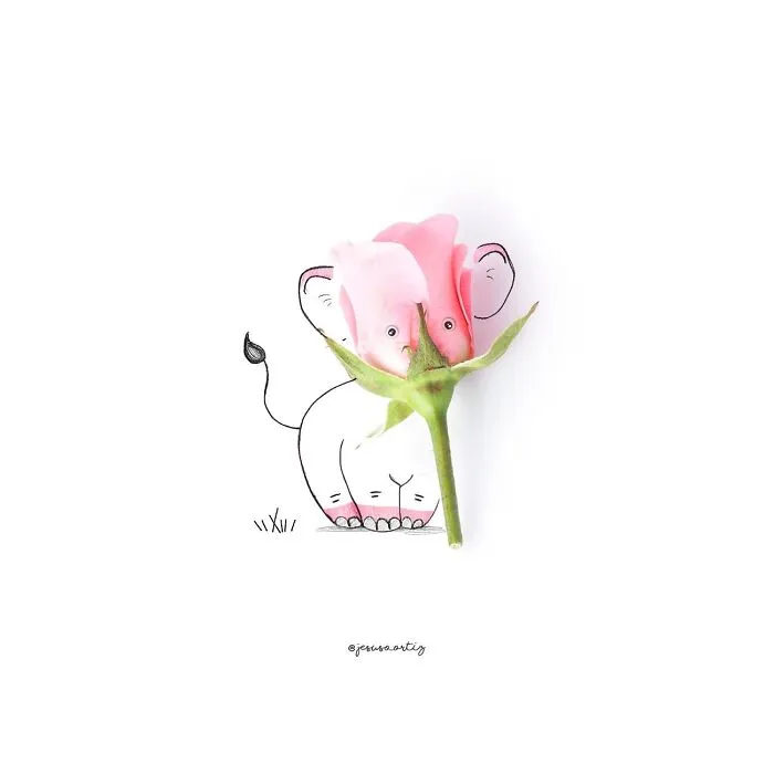 Artist Brings 98 Illustrations To Life By Using Everyday Objects