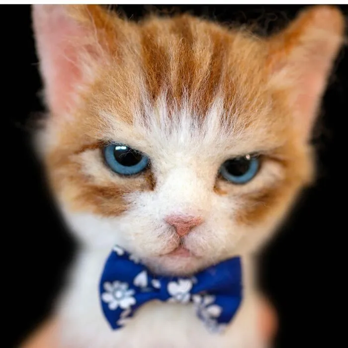 This Japanese Artist Crafts Hyper-Realistic 3D Cat Portraits From Felted Wool (22 New Pics)