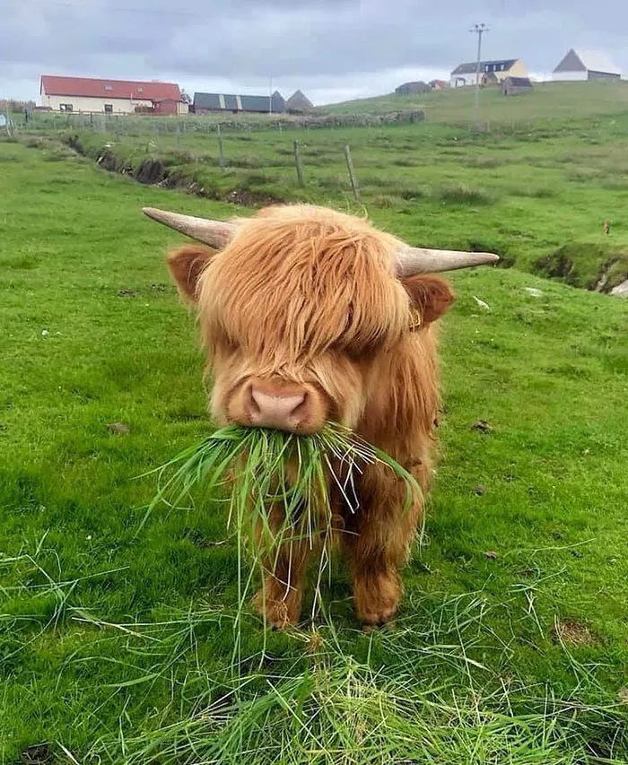 This Adorable Baby