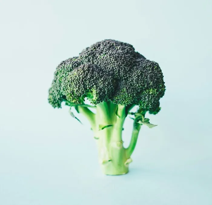 35 "Today I Learned" Facts To Keep Your Brain Curious (New Posts)