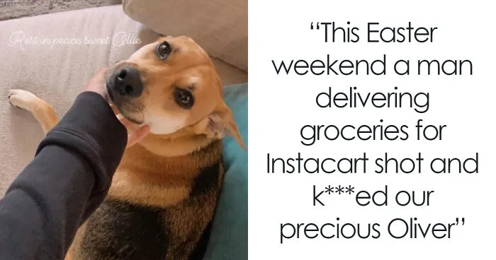 “Yeah, I Shot Your Dog”: Angie Harmon “Traumatized” After Instacart Driver Kills Family Pet