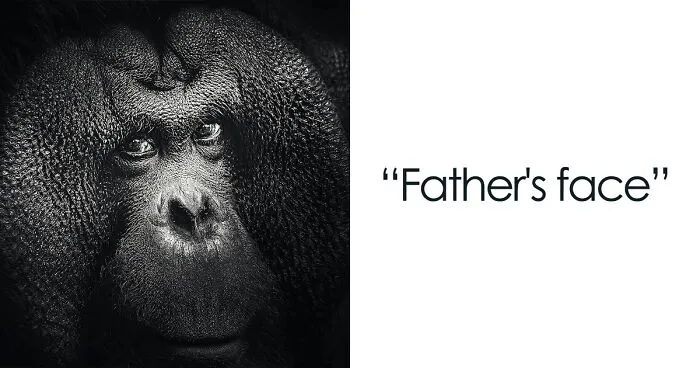 I Love Taking Animal Portraits, And Here Are The 13 Recent Photos I Captured In The Zoo