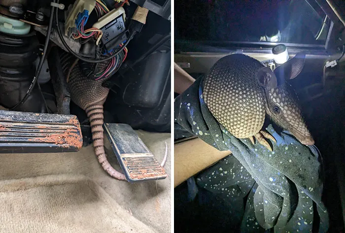 Estaba agarrado y no quería soltarse de ningún modo