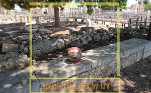 8 Think Photos From The Paphos City Of Kings