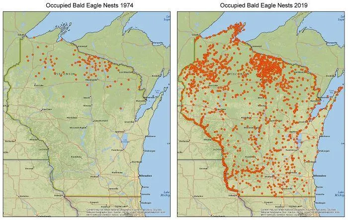 Occupied Bald Eagle Nests In Wisconsin. 1974 vs. 2019. Growth Credited To The Clean Water Act