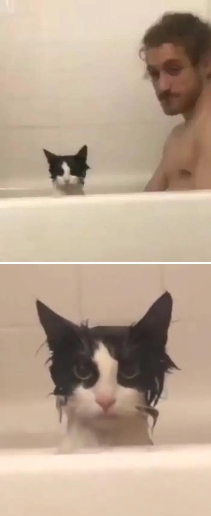 That’s The Look Of “Don’t Go To Sleep Tonight Or Else”