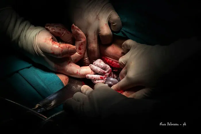 Best Overall: First Place: "Holding Hands", Nora Dalmasso, Argentina