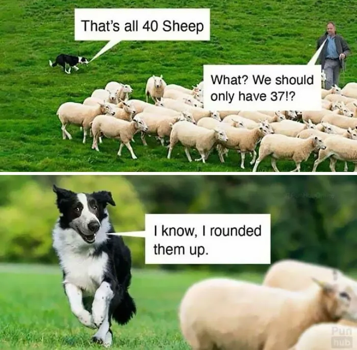 Boomer Humour