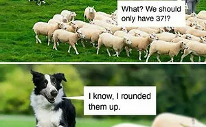 40 Posts Showing Off “Boomer Humor” That Are Funny Because They Aren’t Funny