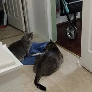 Bouche and Audi and Shyla, Oh My!