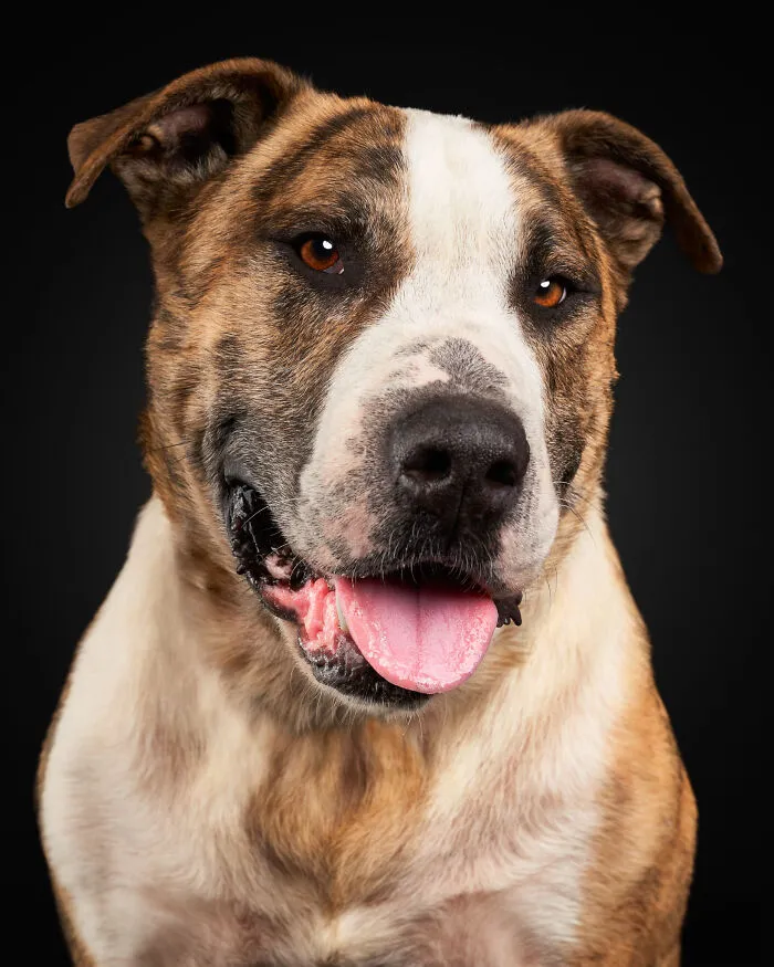 Fergus