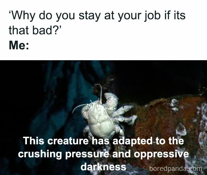 30 Hilarious Memes To Look At Instead Of Working, As Shared On This Instagram Page