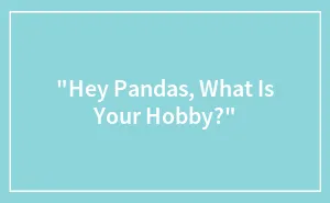 "Hey Pandas, What Is Your Hobby?"