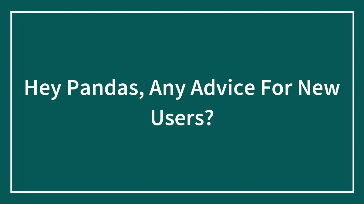 Hey Pandas, Any Advice For New Users?