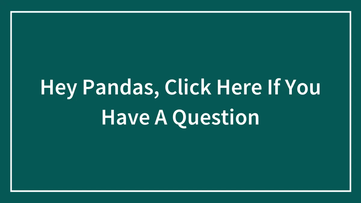 Hey Pandas, Click Here If You Have A Question