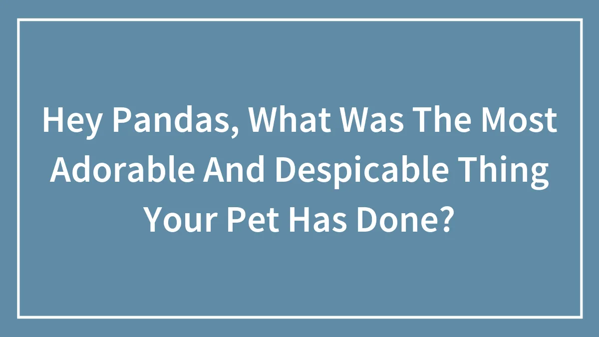 Hey Pandas, What Was The Most Adorable And Despicable Thing Your Pet Has Done?