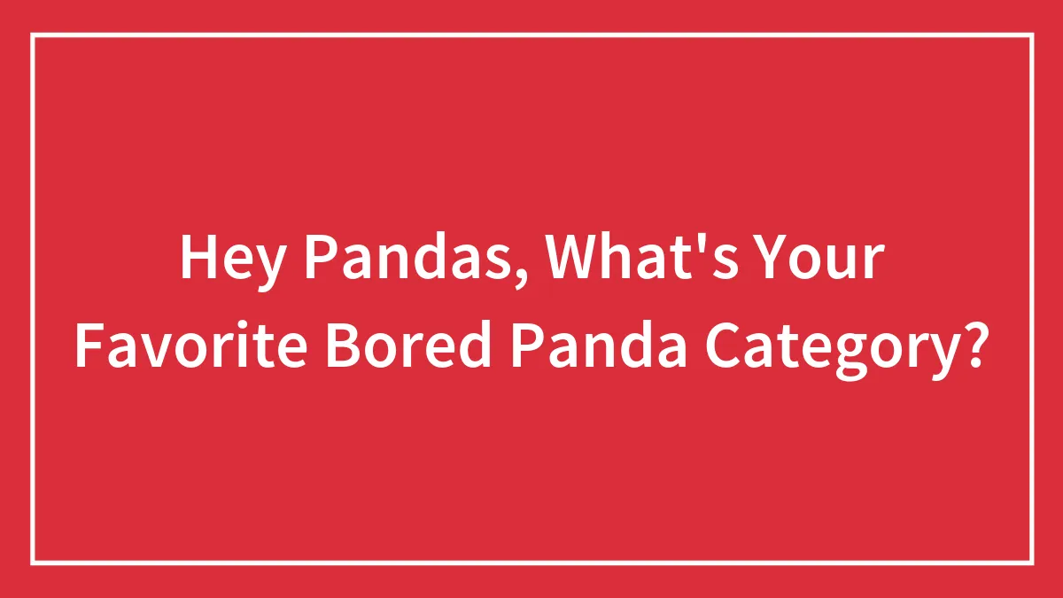 Hey Pandas, What's Your Favorite Bored Panda Category? (Closed)