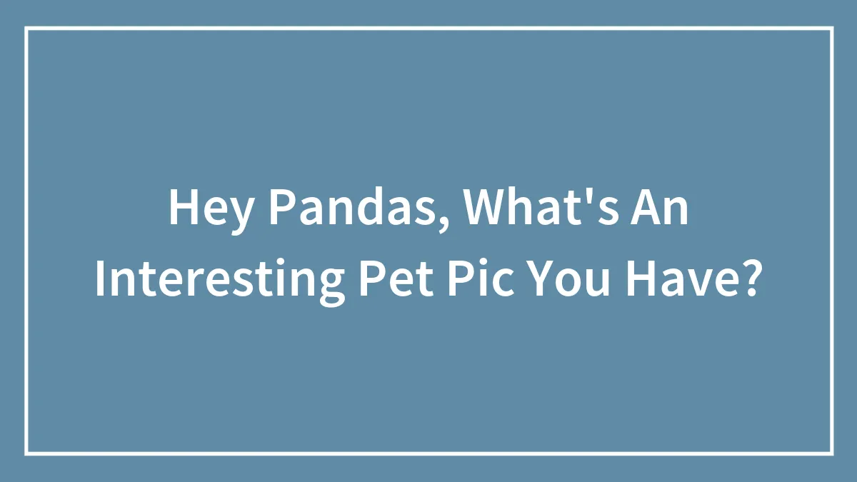 Hey Pandas, What's An Interesting Pet Pic You Have?