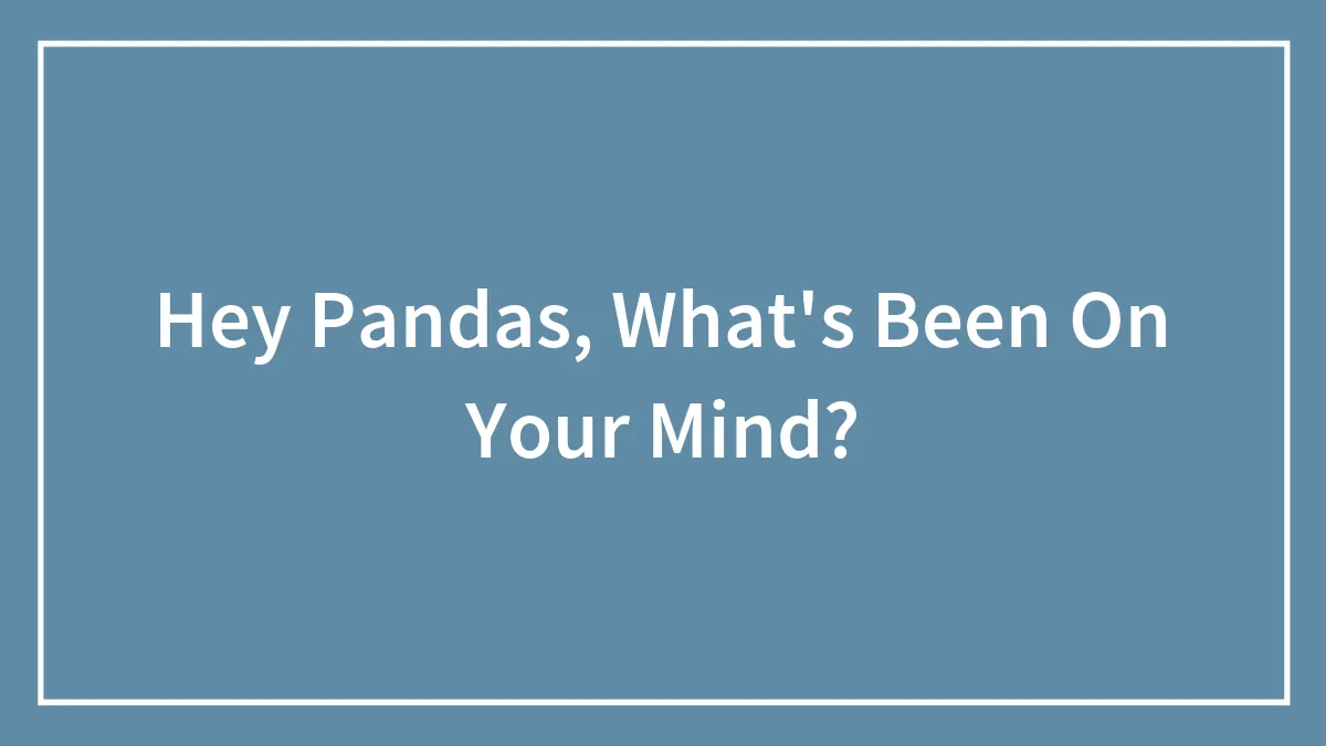 Hey Pandas, What's Been On Your Mind? (Closed)