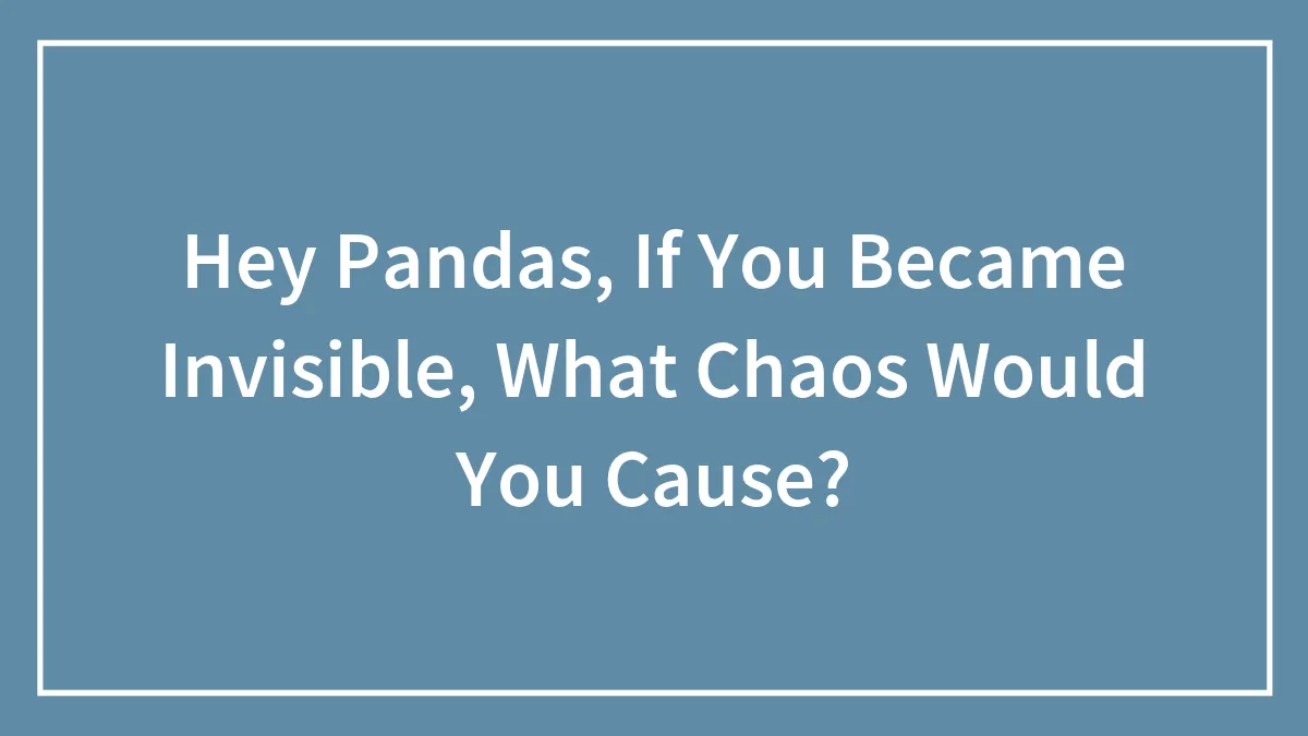 Hey Pandas, If You Became Invisible, What Chaos Would You Cause?