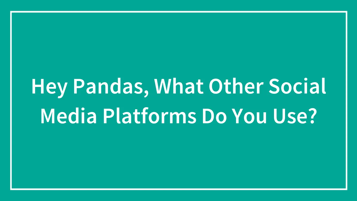 Hey Pandas, What Other Social Media Platforms Do You Use?