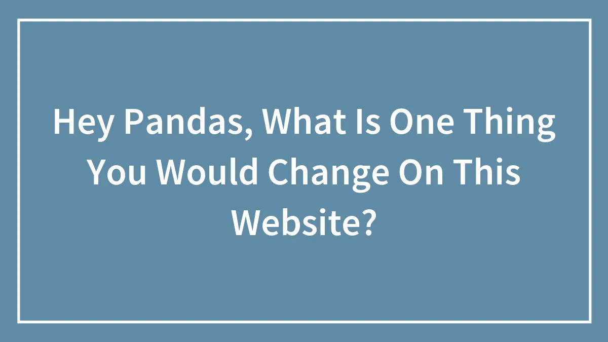 Hey Pandas, What Is One Thing You Would Change On This Website? (Closed)