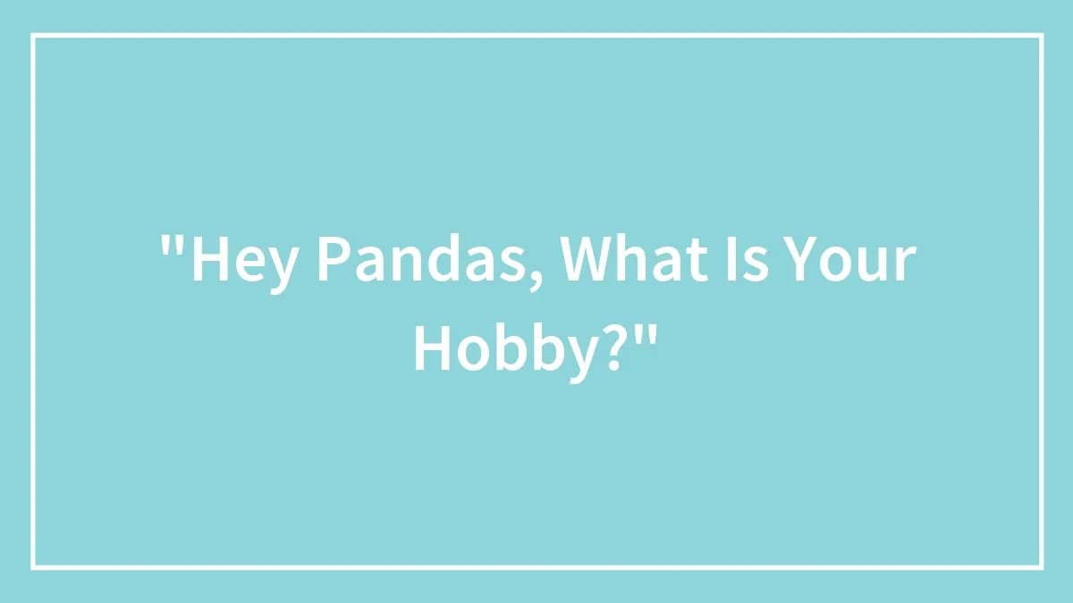 "Hey Pandas, What Is Your Hobby?"