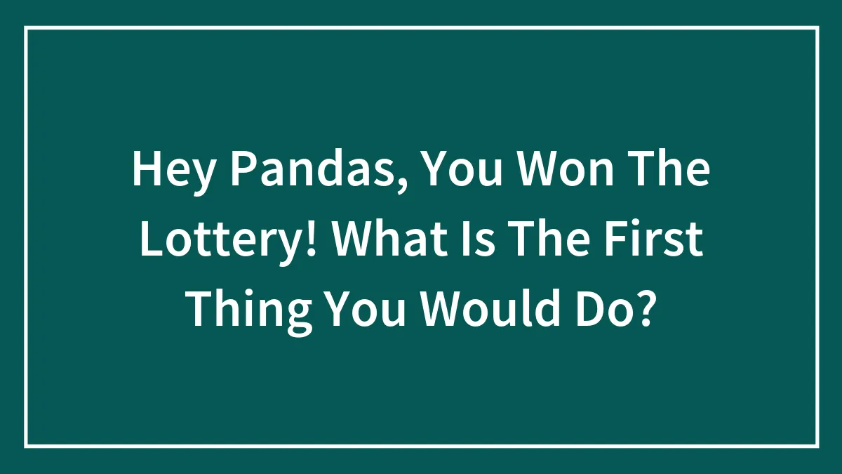 Hey Pandas, You Won The Lottery! What Is The First Thing You Would Do? (Closed)