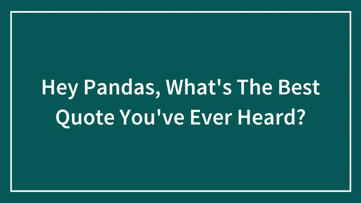 Hey Pandas,  What's The Best Quote You've Ever Heard? (Closed)