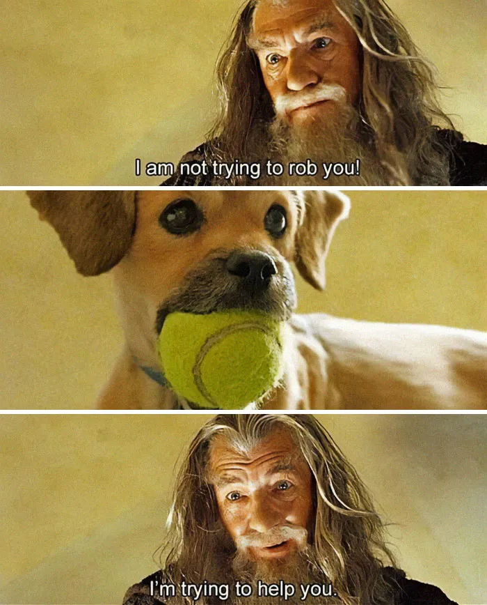 “The Michael Jordan Of Memes”: 50 Hilariously Random Memes From This IG Page