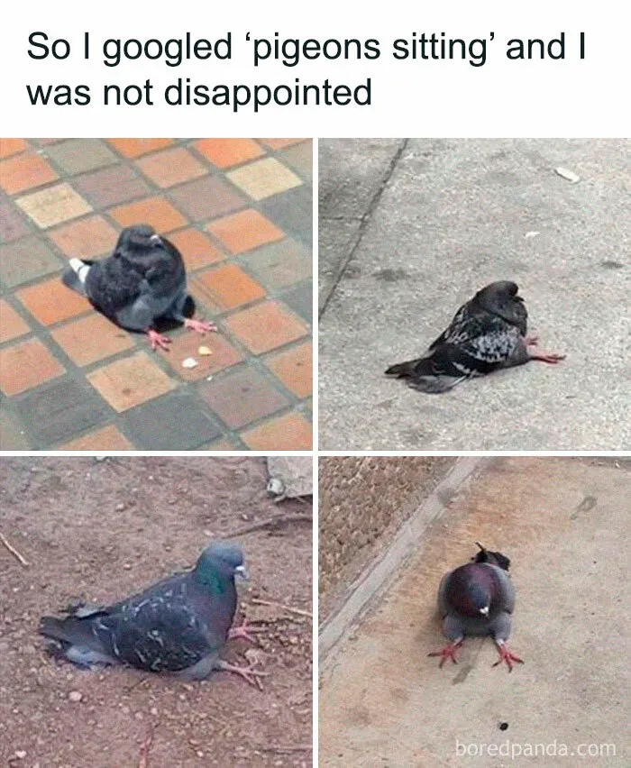 “The Michael Jordan Of Memes”: 50 Hilariously Random Memes From This IG Page