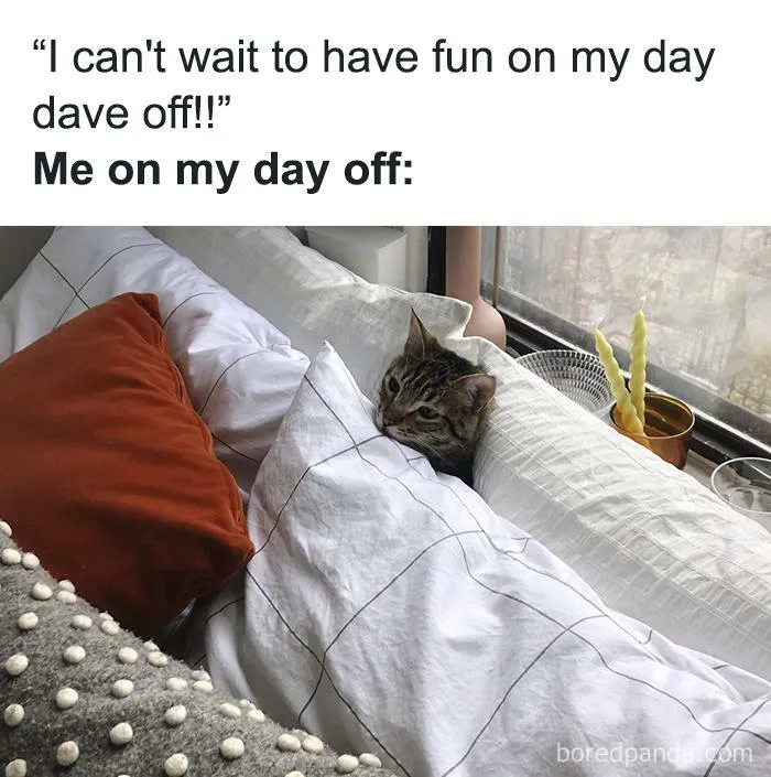 Not all heroes wear capes—some just nap