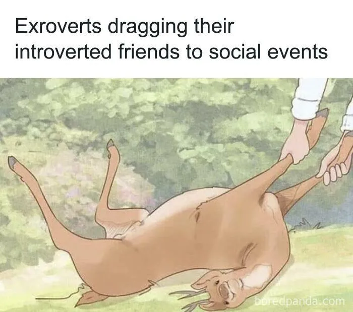 Introverts being dragged unwillingly by extroverts to social events, a winning introverts relatable meme about social anxiety.