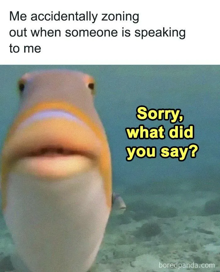 Close-up of a fish underwater with text about zoning out, a relatable meme for winning introverts.