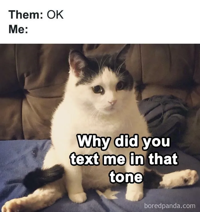 Cat sitting on blue blanket with text about introverts feeling hurt by texting tone in relatable introvert memes.