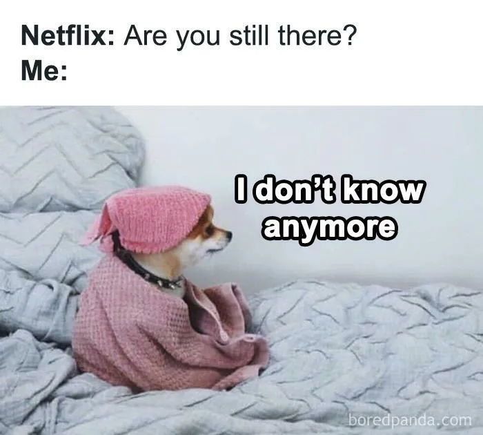 Small dog wrapped in a pink blanket and hat with relatable introvert meme text about uncertainty watching Netflix.