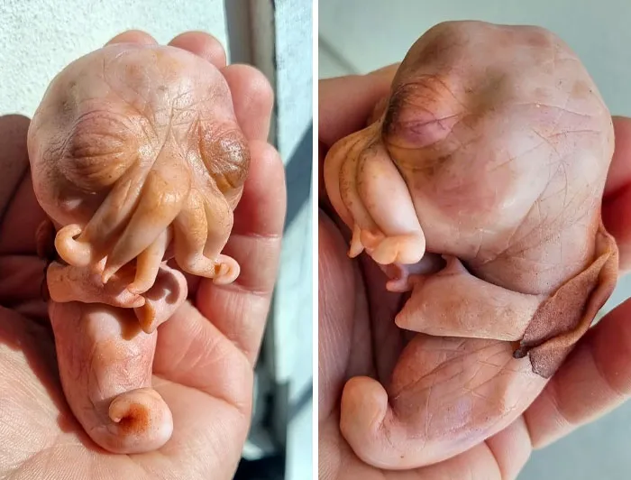 Here's A Little Cthulhu Baby I Sculpted