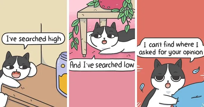 "Cat & Cat": 25 Funny And Wholesome Comics About The Secret Life Of Feline Friends (New Pics)