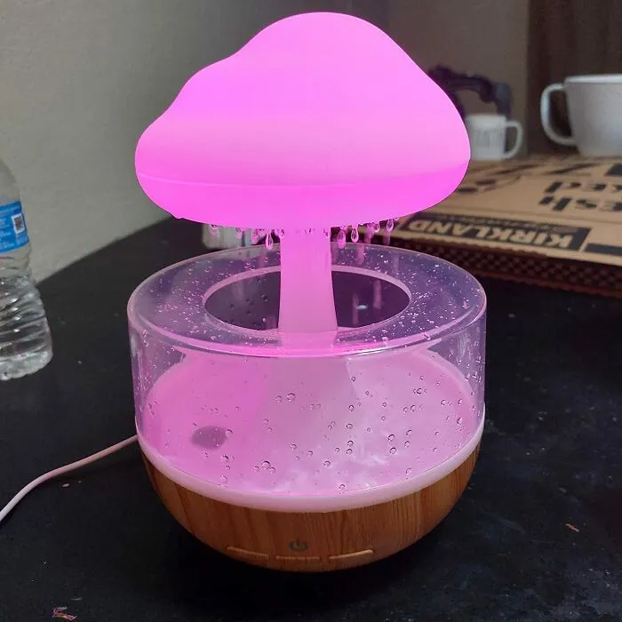 Your Personal Forecast Just Called For 100% Chance Of Adorable Calm, All Thanks To This <a Style="Display:inline;" Href="Https://Www.amazon.com/Weljoy-Aromatherapy-Essential-Diffuser-Humidifier/Dp/B095p8npnr?ie=utf8&linkcode=ll1&tag=bpmole-20&linkid=a2816026a586cc7d7f19c3540d880589&language=en_us&ref_=as_li_ss_tl" Target="_blank"><span Style="Font: Inherit; Color: #d74b1f;"> Rain Cloud Humidifier </Span>, Ready To Turn Your Room Into A Tiny, Misty Haven