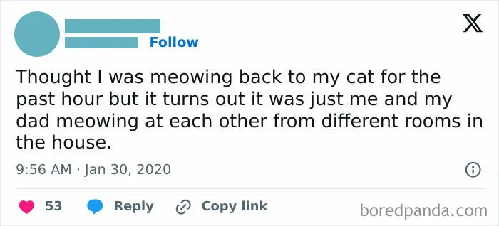 50 Randomly Wholesome Posts That May Be Just What You Needed For A Happiness Boost